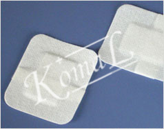 Manufacturers Exporters and Wholesale Suppliers of Silver Ion Dressing Pune Maharashtra